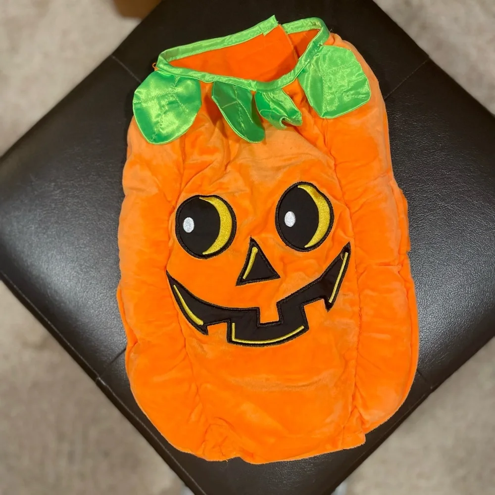 Dog Pumpkin Costume - Picture 3 of 5